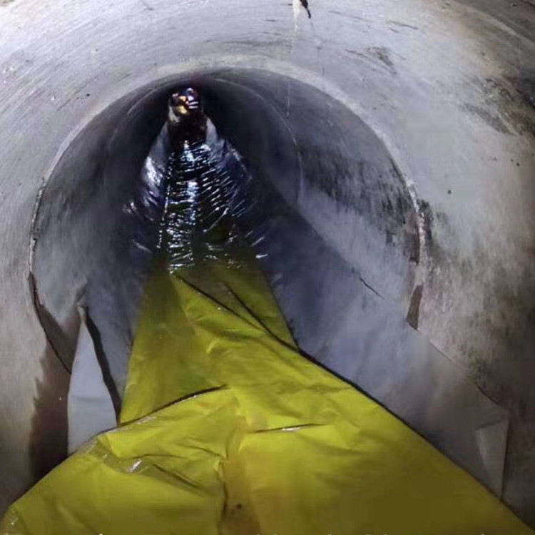 麻栗坡管道光固化修复